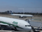 LAX Koru Club