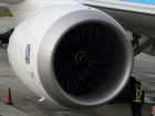 ANA 787 at SJC
