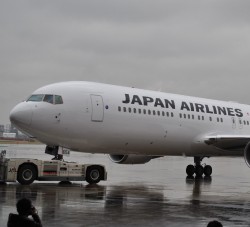 The new JAL crane livery outside. Click any for larger.