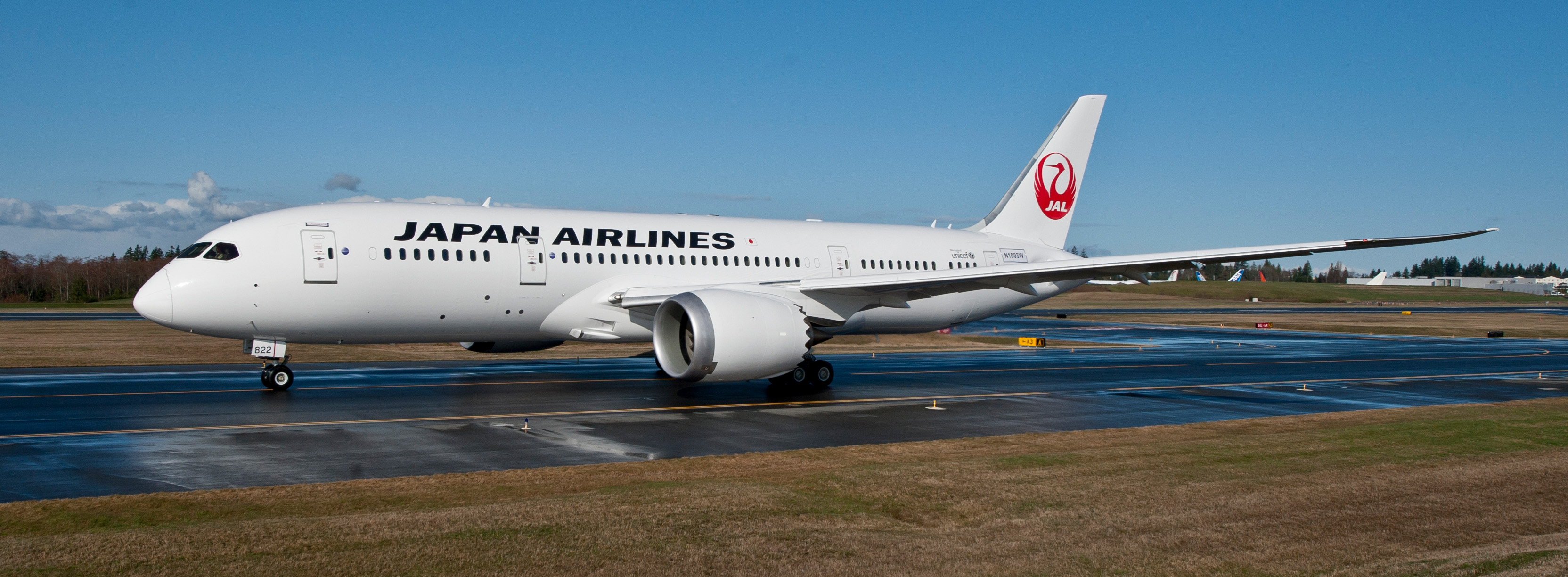 Japan Airlines 113