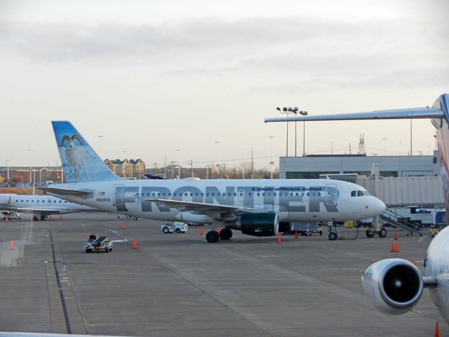 Guest Airline Livery Of The Week Frontier Airlines