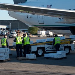 24,300 pounds of salmon are unloaded from the Boeing 737-400 Combi.