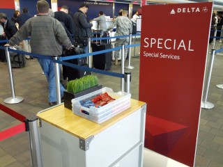 Delta offers free snacks and bottled water throughout the terminal