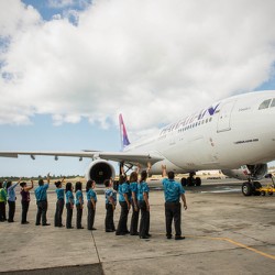 Hawaiian Airlines Airbus A330.