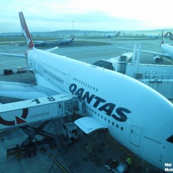 My Ride to LAX - A Qantas A380 named after Sir Reginald Duigan - Photo: Mal Muir - AirlineReporter.com