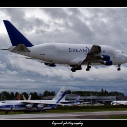 A Dreamlifter lands at Paine Field with an Antonov AN-124 on the ground.