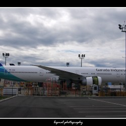 Garuda Indonesia's First 777-300ER at Paine Field.