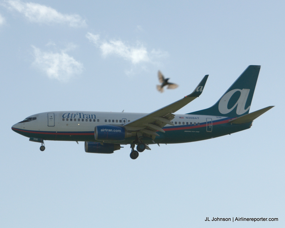 Air Tran Airlines 36