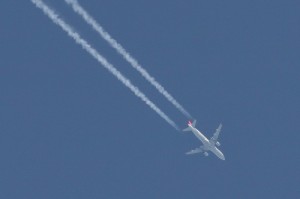 Northwest Airlines Airbus A320 in flight