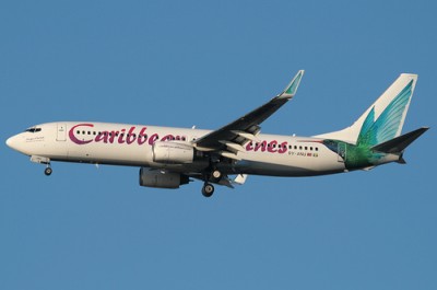 My mom love's hummingbirds and this livery delivers!