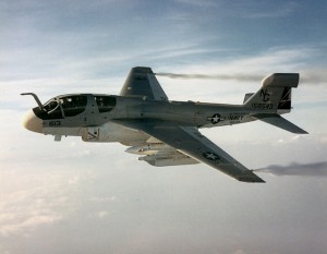 My father flew the EA-6B and retired while serving with VAQ-134, the Garudas. 