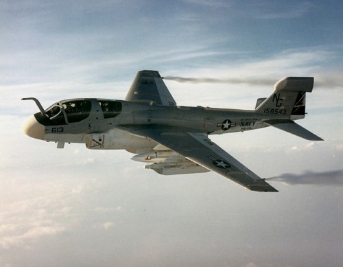 My father flew the EA-6B and retired while serving with VAQ-134, the Garudas.