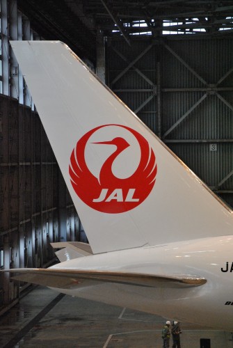 Tail of Boeing 767-300ER with crane livery