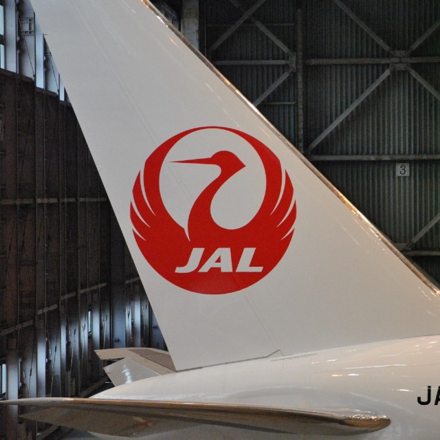 Tail of Boeing 767-300ER with crane livery