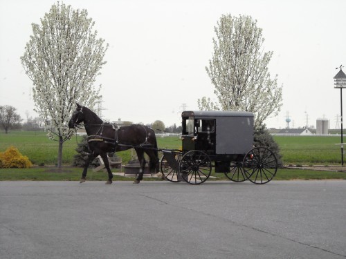 Lancaster County touring the Amish Community