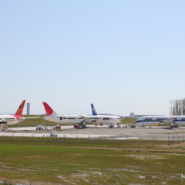 JAL, ANA and China Southern 787 Dreamliners