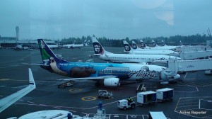 View out one side of the Alaska Board Room. Lots of Boeing 737's waiting to leave.