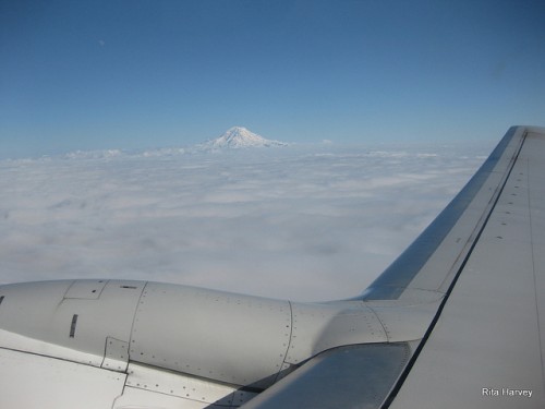 A nice view of Mount Rainier.