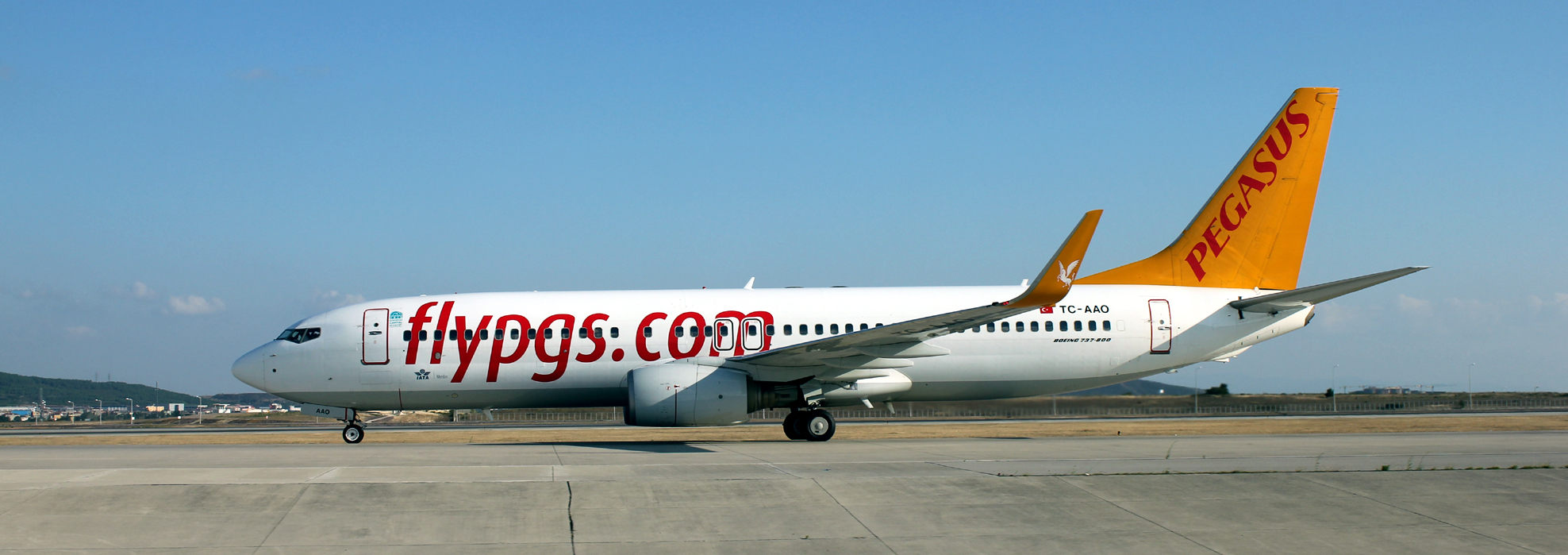 Pegasus flypgs outlet