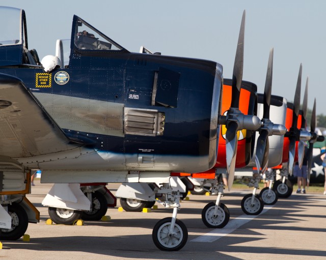 Aircraft lined up at Oshkosh.