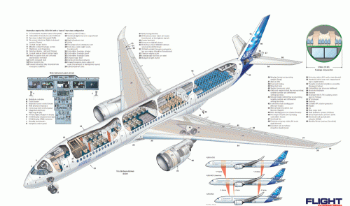Cut away of the Airbus A350 XWB from Flightglobal.