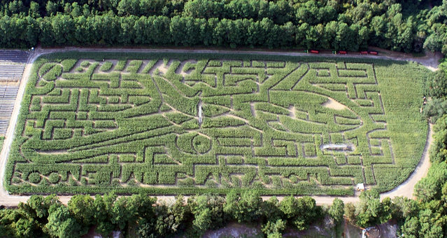 Can you see the Boeing 787 Dreamliner in the corn? Photo by Boeing