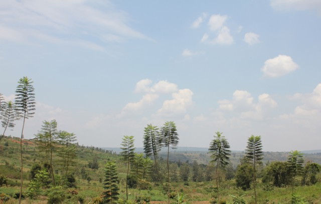 Rwanda was much greener than I was expecting. 