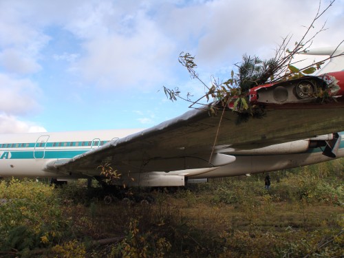 Airliners were not made to hit trees and bushes. They did a number of the body of the TU-154M.