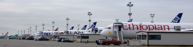 Boeing 787s on the flight line at Paine Field. Photo by Malcolm Muir.