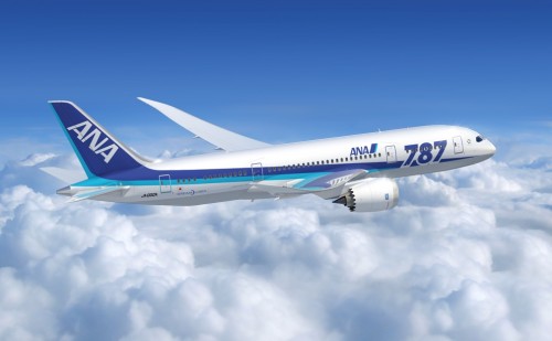 Starting with their 3rd 787, all future Dreamliners will have this special livery.