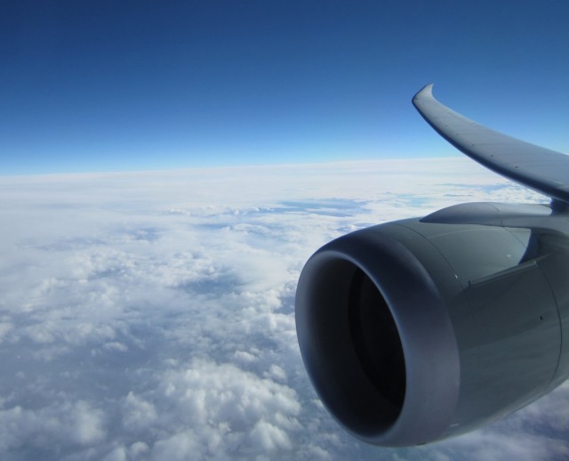 The wing is astounding on the Boeing 787 Dreamliner. Photo: Malcolm Muir / AirlineReporter.com. 