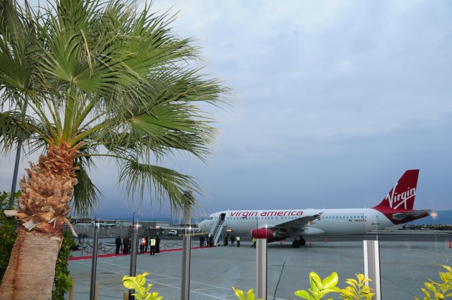 What would Palm Springs be without Palm trees? Photo by Nick Smith / AirlineReporter.com.