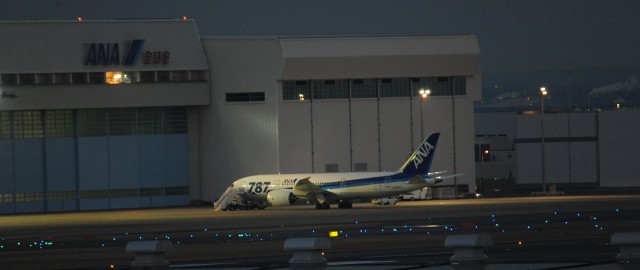 One of ANA's Dreamliners grounded at Haneda. Image by Hiroshi Igami.