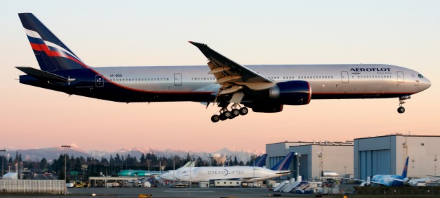 Aeroflot's first Boeing 777-300ER arrives back to Paine Field in Everett, WA after being painted in Portland. Image by Bernie Leighton.