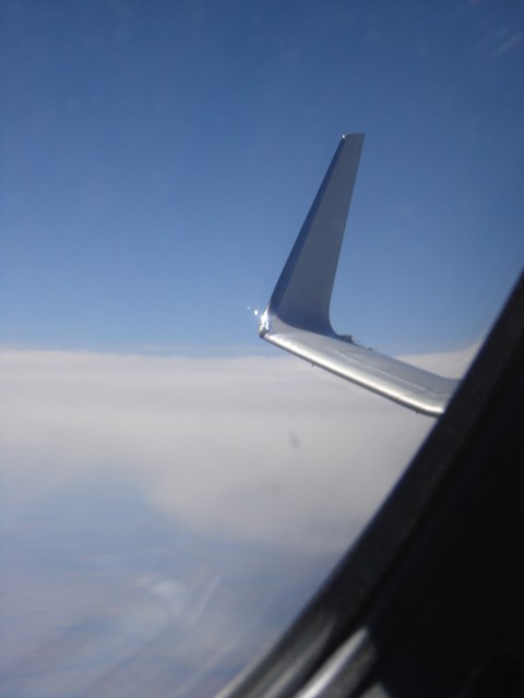 Looking back at the blended winglet of the 737NG. Photo by Owen Zupp. 