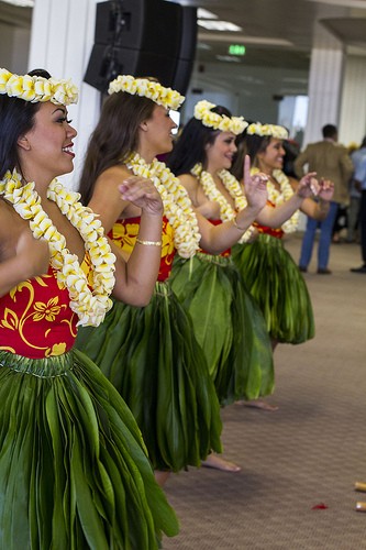 Hawaiian Dancers.