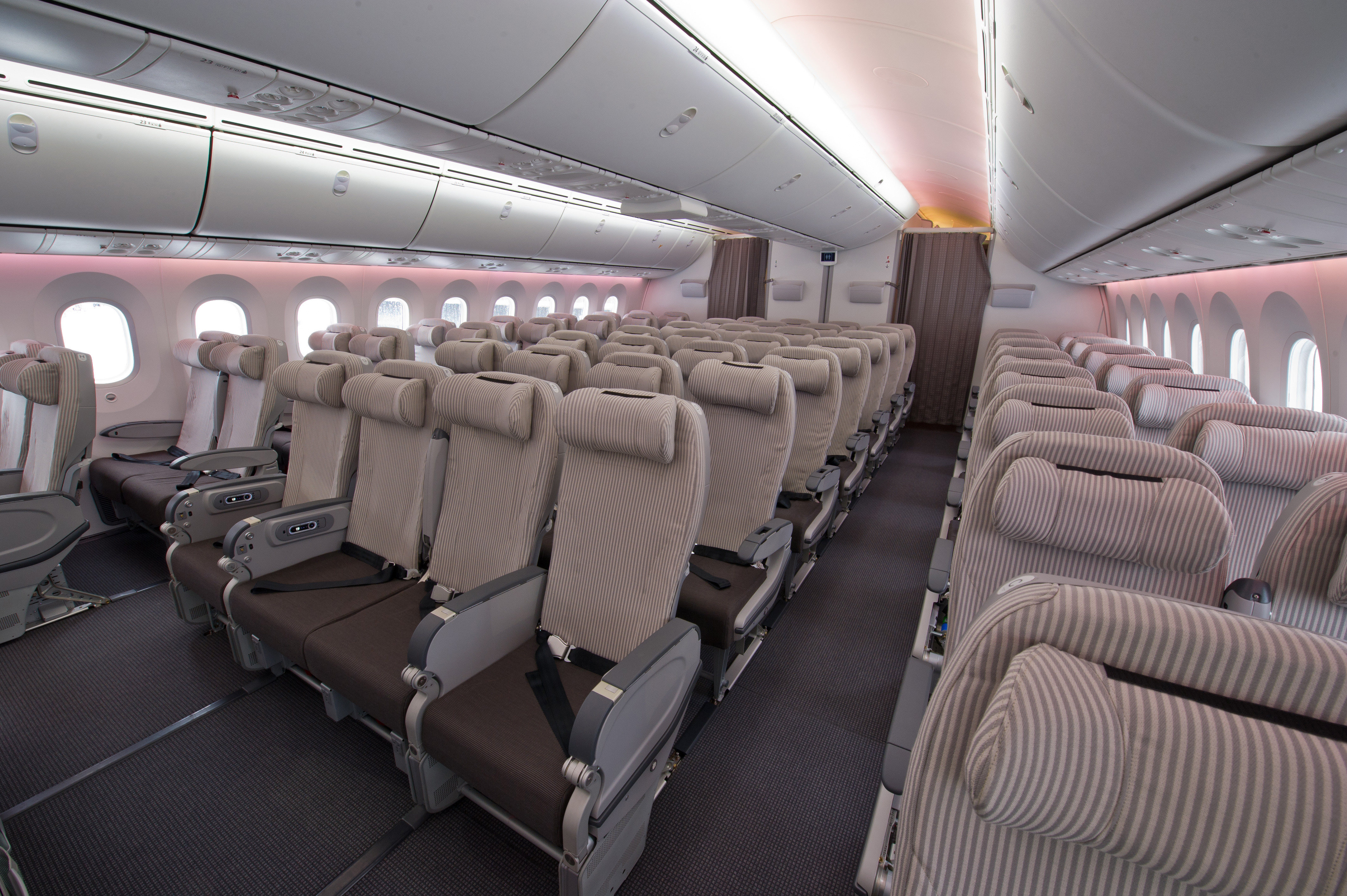Jal 787 Ln 33 Interior Photography Airlinereporter