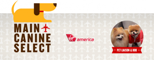 Flying does not have to be "ruff" any longer. Image from Virgin America.