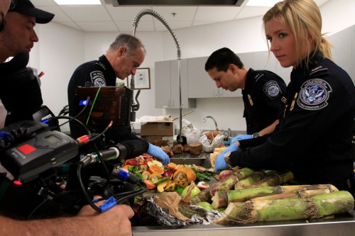 Customs check through produce for contraband. Image from the Travel Chanel / Airchive.com.