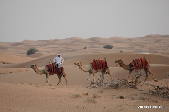 Rolling dunes and camels are a must-see located just outside of Dubai.