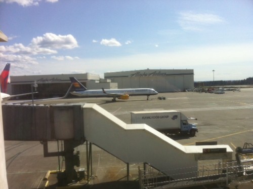 Icelandair's Boeing 757 sits at Seattle, waiting to be towed to its gate. Photo by Ben Whalen / AirlineReporter.com