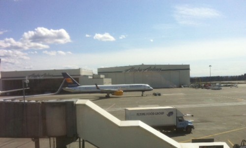 Icelandair's Boeing 757 sits at Seattle, waiting to be towed to its gate. Photo by Ben Whalen / AirlineReporter.com