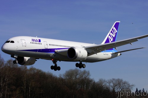 ANA's standard livery on the Boeing 787 Dreamliner. Photo by Jeremy Dwyer-Lindgren.