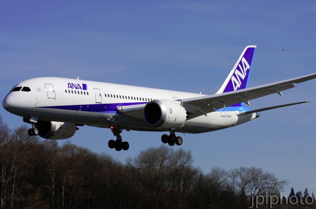 ANA's standard livery on the Boeing 787 Dreamliner. Photo by Jeremy Dwyer-Lindgren. 