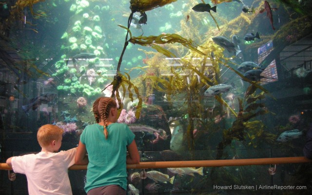 Young passengers check out YVR's aquarium International Departure gate area