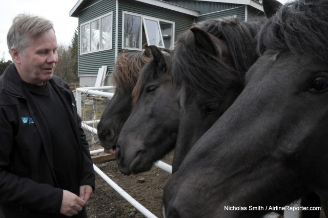 Our guide with several good natured Icelandic horses, happy to get a scratch from passers by.