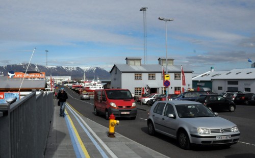 Reykjavà­k"s Old Harbor, home of commercial fishing outfits, whale watching tours, and workboats alike.