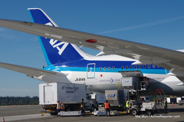 ANA's 787 being serviced at SEA. 