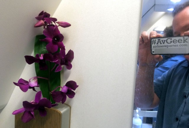 Small touches, like real flowers in the lavatory go a long way. Also, this I my Laviator shot.