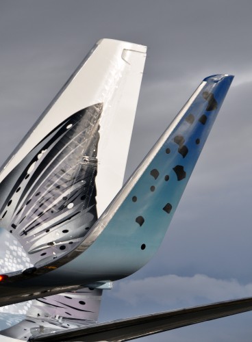 The new Salmon-30-Salmon has winglets. Image from Alaska Airlines. CLICK FOR LARGER.